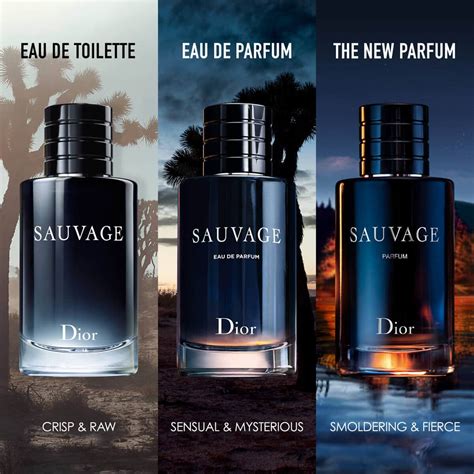 cd sauvage eau de toilette|sauvage dior fragrance.